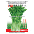 High Quality Chinese Vegetable Seeds Celery Seed For Cultivation-Fast Growing Soild Celery